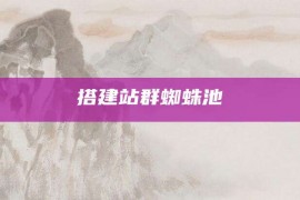 搭建站群蜘蛛池