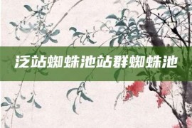 泛站蜘蛛池站群蜘蛛池