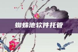 蜘蛛池软件托管