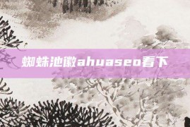 蜘蛛池徽ahuaseo看下