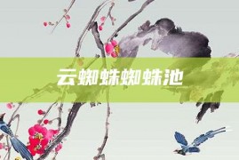 云蜘蛛蜘蛛池