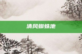 清风蜘蛛池