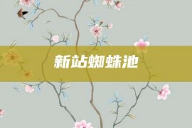 新站蜘蛛池