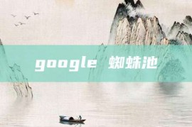 google 蜘蛛池