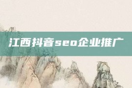 江西抖音seo企业推广