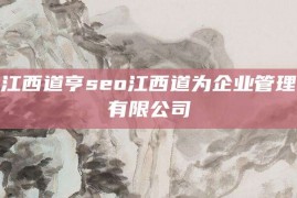 江西道亨seo江西道为企业管理有限公司