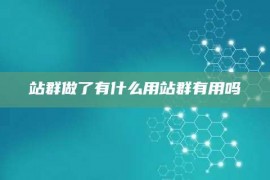 站群做了有什么用站群有用吗