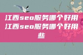 江西seo服务哪个好用江西seo服务哪个好用些