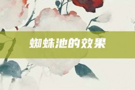 蜘蛛池的效果