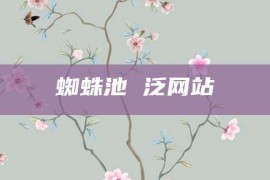 蜘蛛池 泛网站