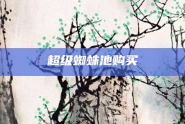 超级蜘蛛池购买