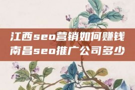 江西seo营销如何赚钱南昌seo推广公司多少