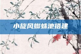 小旋风蜘蛛池搭建