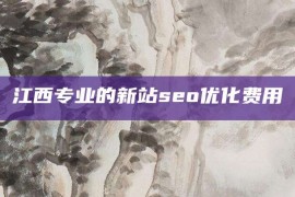 江西专业的新站seo优化费用