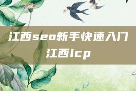 江西seo新手快速入门江西icp