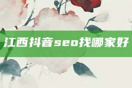 江西抖音seo找哪家好