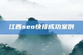 江西seo快排成功案例