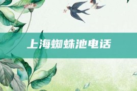 上海蜘蛛池电话