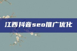 江西抖音seo推广优化