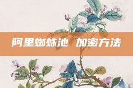 阿里蜘蛛池 加密方法