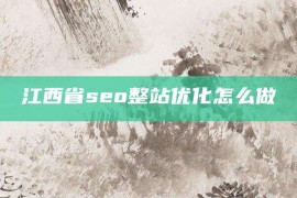 江西省seo整站优化怎么做