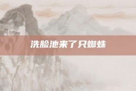 洗脸池来了只蜘蛛