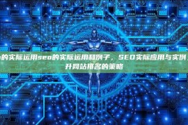 seo的实际运用seo的实际运用和例子，SEO实际应用与实例，提升网站排名的策略