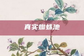 真实蜘蛛池