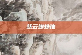 慈云蜘蛛池