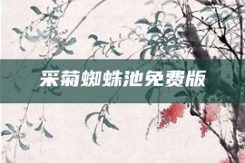 采菊蜘蛛池免费版