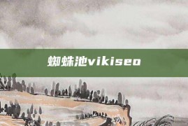 蜘蛛池vikiseo