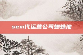 sem代运营公司蜘蛛池