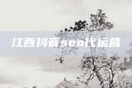 江西抖音seo代运营