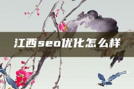 江西seo优化怎么样