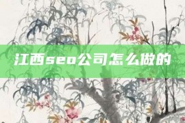 江西seo公司怎么做的