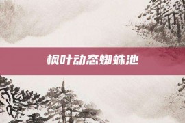 枫叶动态蜘蛛池