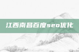 江西南昌百度seo优化