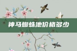 神马蜘蛛池价格多少