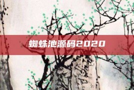 蜘蛛池源码2020