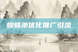 蜘蛛池优化推广引流