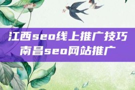 江西seo线上推广技巧南昌seo网站推广