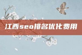 江西seo排名优化费用