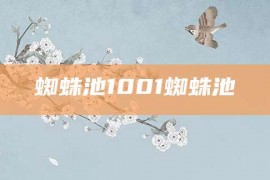 蜘蛛池1001蜘蛛池