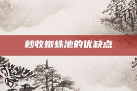 秒收蜘蛛池的优缺点