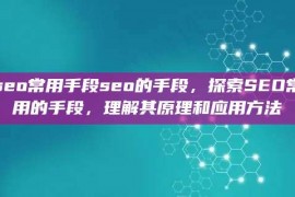 seo常用手段seo的手段，探索SEO常用的手段，理解其原理和应用方法