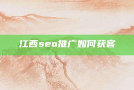 江西seo推广如何获客