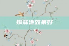 蜘蛛池效果好