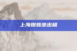 上海蜘蛛池出租