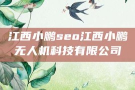 江西小鹏seo江西小鹏无人机科技有限公司