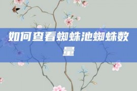 如何查看蜘蛛池蜘蛛数量